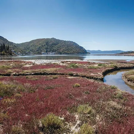 Gorgeous In With Wifi 아파트 *