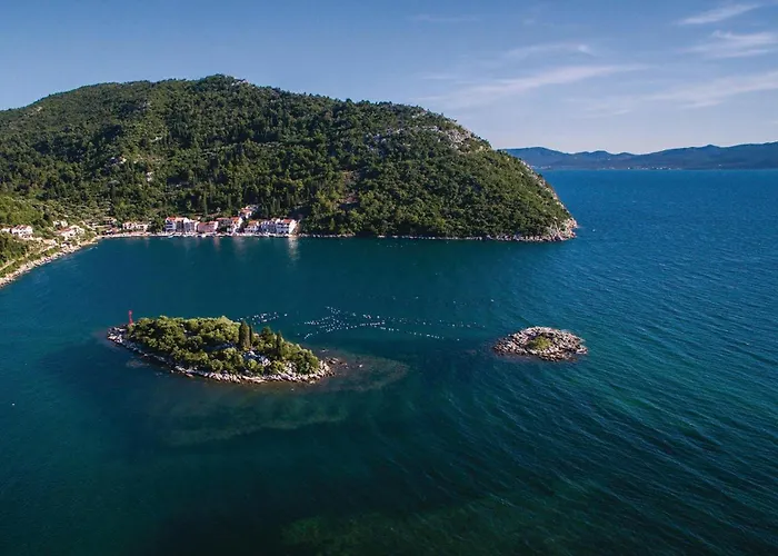 Gorgeous In With Wifi Appartement