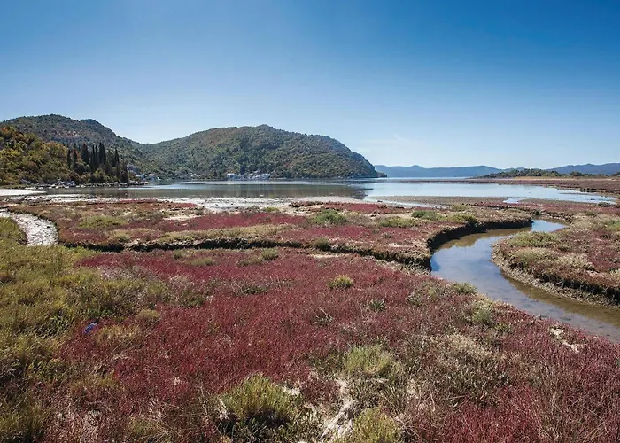 Gorgeous In With Wifi Appartement *